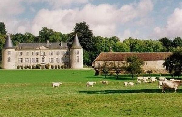 Chateau De Beaujeu Sens-Beaujeu Exterior foto